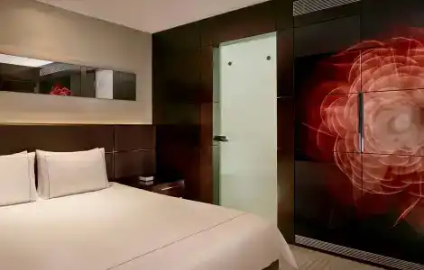 Park Plaza Westminster Bridge London - 3