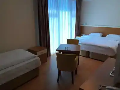 Emsa Palace - 4