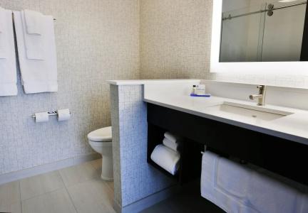 Holiday Inn Express & Suites - Holland Tunnel, an IHG - 6