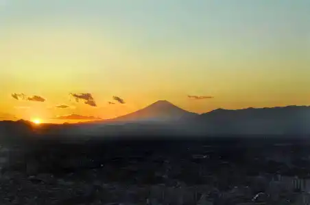 Yokohama Royal Park - 44