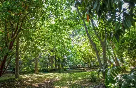 Etna Botanic Garden - 120
