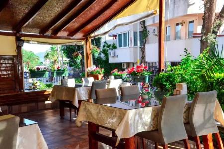Green Palm - 15
