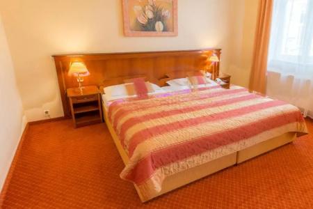 Ensana Centrální Lázně - Maria Spa - 71