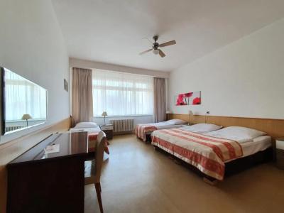 Jana / Pension Domov Mládeže - 29