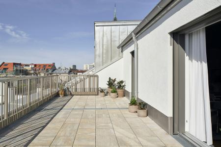 Schwan Locke - 39