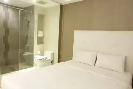The Luxe - 18