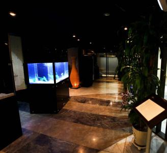 Aqua Palace - 11