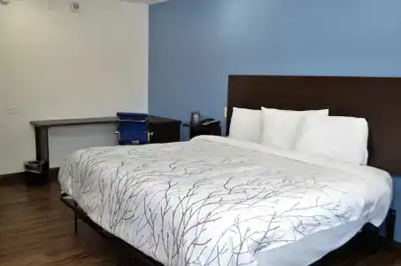 Athena Inn - 23