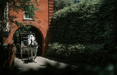Wentworth Mansion - 20