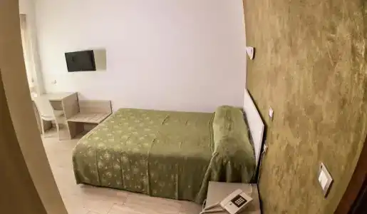 Tourist - 5