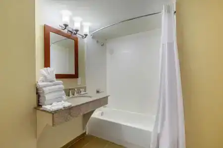 Comfort Inn & Suites SW Houston Sugarland - 45