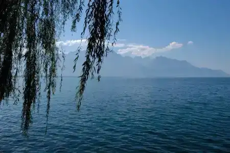 Montreux Youth - 22