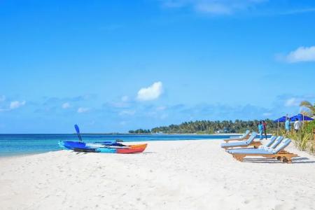 The Maverick Surf and Dive Boutique - 19