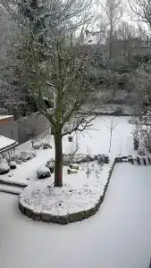 Guesthouse Begijnhof - 5