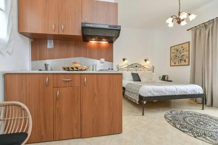 Marine Dream - 24