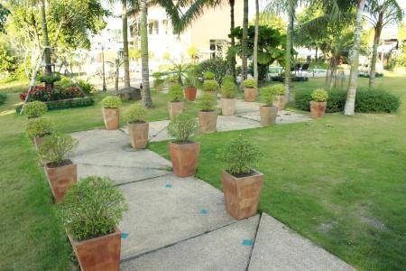 Chiang Rai Park Resort - 16