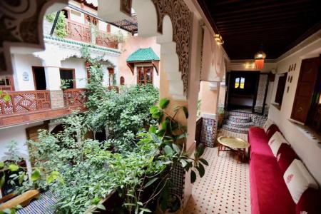 Riad Toyour- Riad of birds - 84