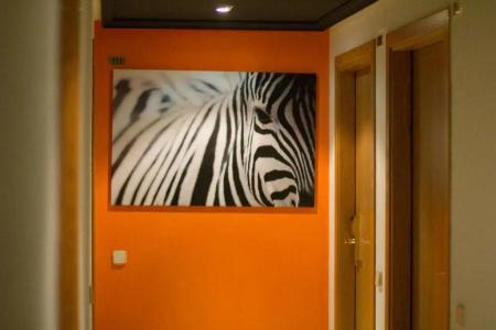 ApartG3 Galeon - 85