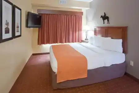 AmericInn by Wyndham Medical Center - 59