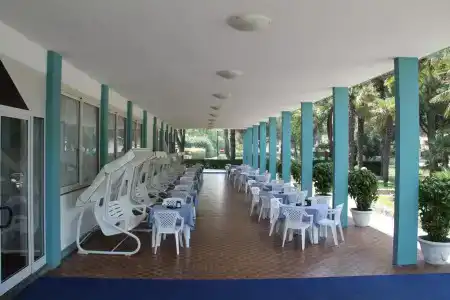 Palm Beach - 19