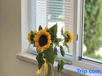 Motives Inn - 143