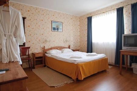 Saka Manor - 20