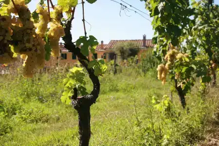 La Ghiaia - 12