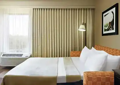 Hampton Inn Dallas-Irving-Las Colinas - 65