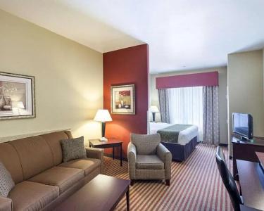 Comfort Suites Medical Center Near Six Flags - 36
