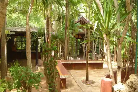 Sam's Jungle - 13