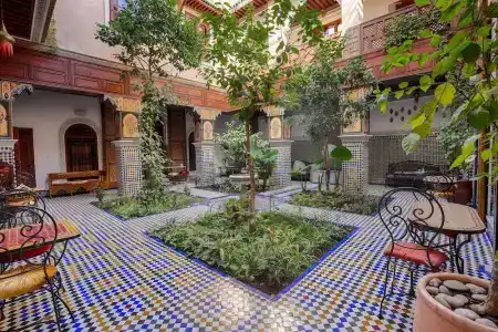 Riad Toyour- Riad of birds - 63
