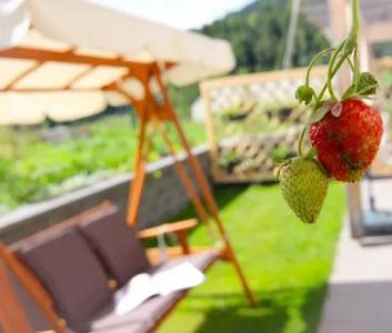 Eco Boutique Ams Beagle - 22