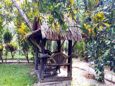 Tree Tops River Huts - 19