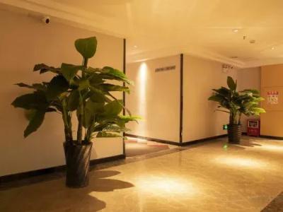 Borrman Dongguan Zhongtang Branch - 4