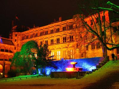 Neu Heidelberg - Guesthouse & - 0