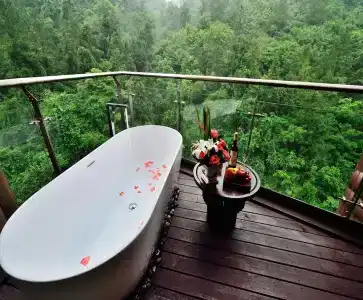 Harmona Resort & Spa Zhangjiajie - 21