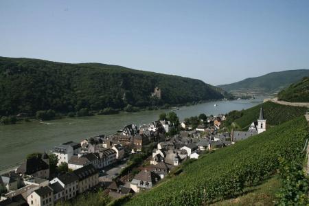 RheinLamm - 9