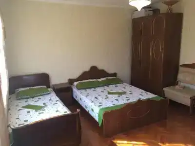 Эльвира - 3