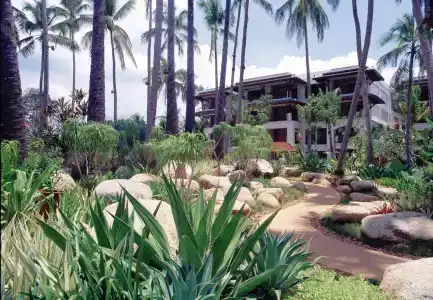 Marriott's Phuket Beach Club - Sha Plus - 8