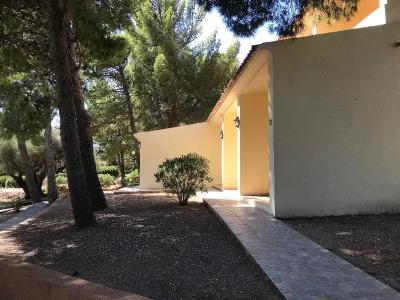 Club Esse Palmasera - 44