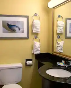 Holiday Inn Express & Suites Virginia Beach Oceanfront, An Ihg - 22