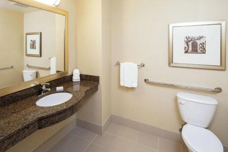 Hilton Garden Inn South - 85