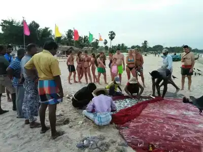 Esha Beach Resort - 19