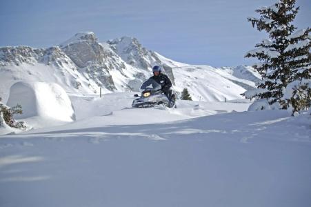 Hôtel Alpen Ruitor - 29
