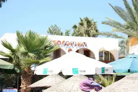 Toloman & - 40