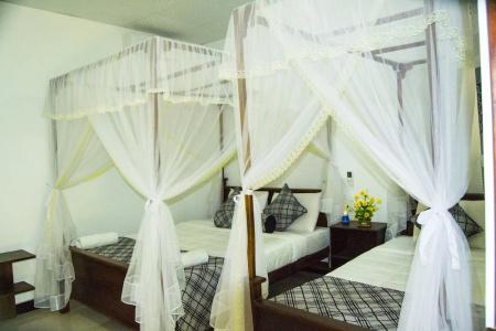 Sigiriya Rock Gate Resort - 35