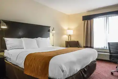 Comfort Inn & Suites LaGuardia Airport - 33