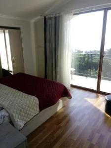 Иберия 2019 - 19