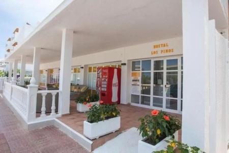 Los Pinos - 16