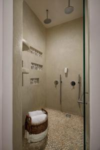Petri Suites - 37